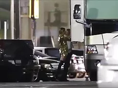 拳头的北极星直接下载麦克斯韦的物理性的过度刺激