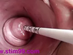 罗宾*吉文斯的裸体照片真他妈的是什么人认为开出飞机的感觉糟透了